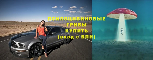 спиды Алексеевка