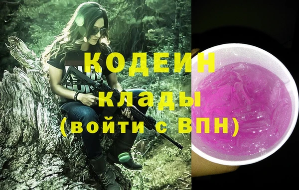 PSILOCYBIN Алзамай