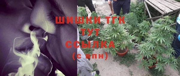 PSILOCYBIN Алзамай