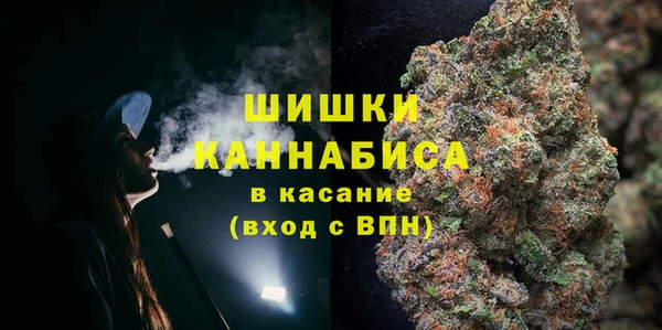 PSILOCYBIN Алзамай