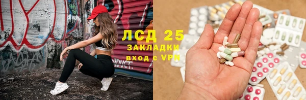 PSILOCYBIN Алзамай