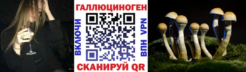 Псилоцибиновые грибы MAGIC MUSHROOMS  Томмот 